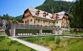 Hotel Plesnik Logarska Dolina